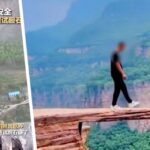 В Китае был уничтожен Язык тролля