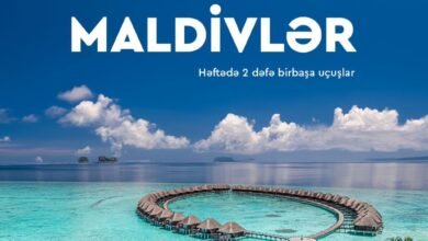 maldivle