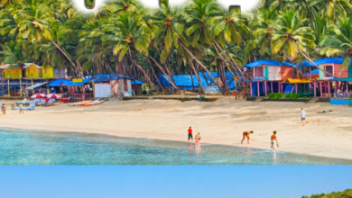 goa turizm
